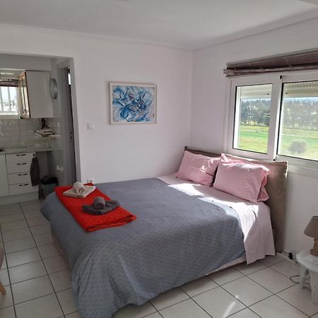Cute&Quiet Studio Loutraki المظهر الخارجي الصورة